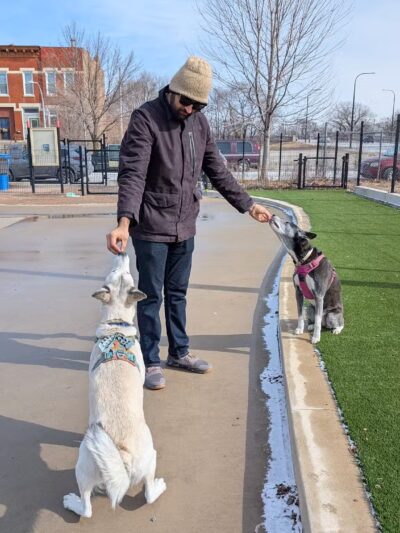 Chicago Park 591 - Dog Friendly Area - Chicago, IL