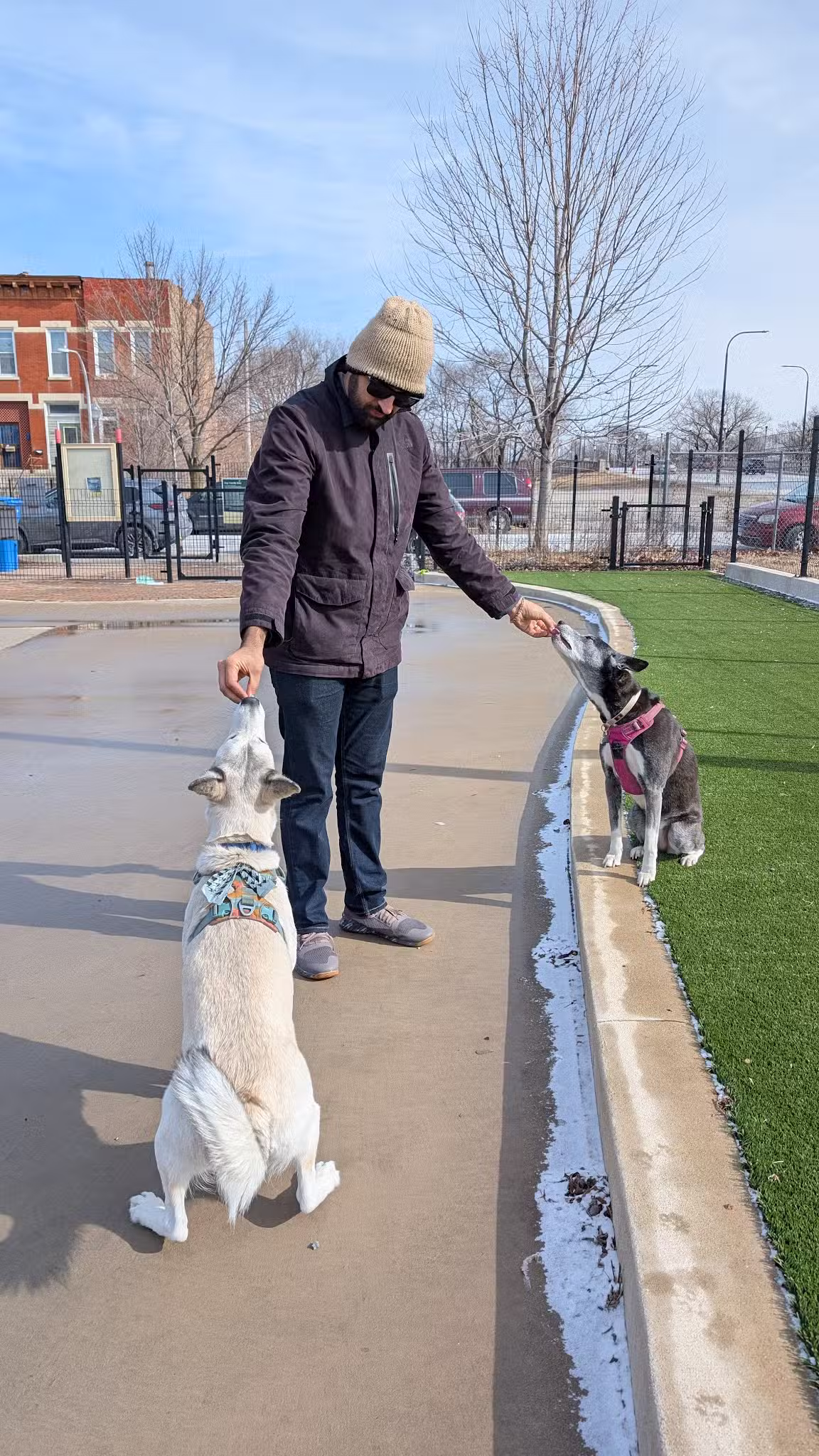 Chicago Park 591 - Dog Friendly Area - Chicago, IL