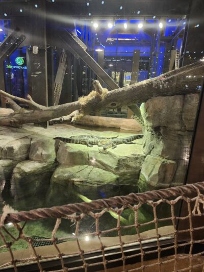 Cosme (Margaret) Park - Chicago, IL