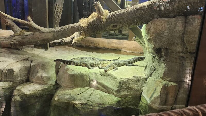 Cosme (Margaret) Park - Chicago, IL