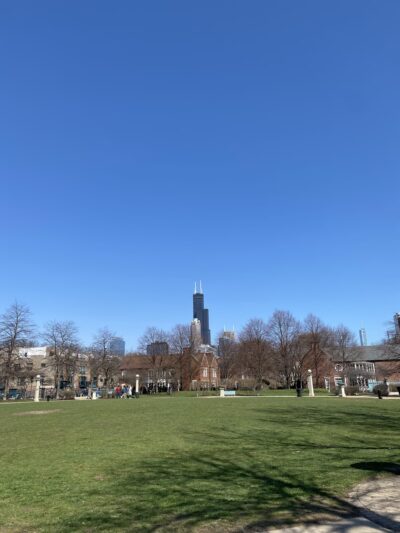 Cotton Tail Park - Chicago, IL