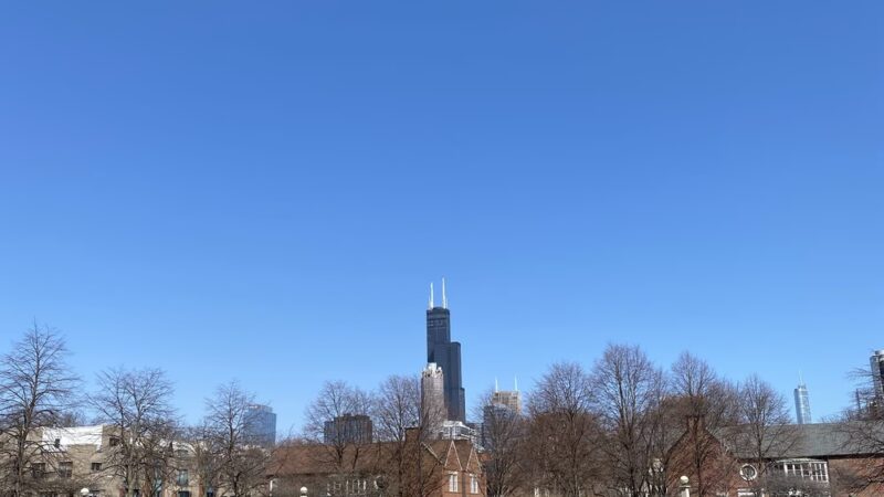 Cotton Tail Park - Chicago, IL