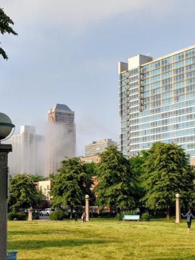 Cotton Tail Park - Chicago, IL