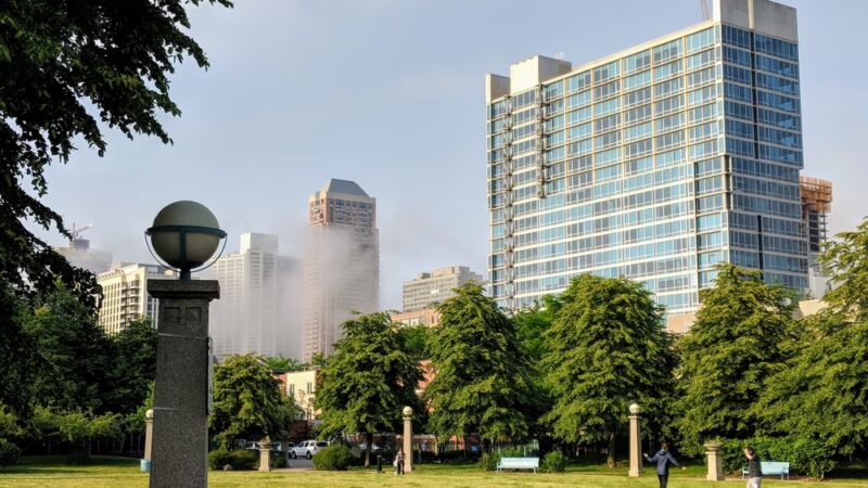 Cotton Tail Park - Chicago, IL