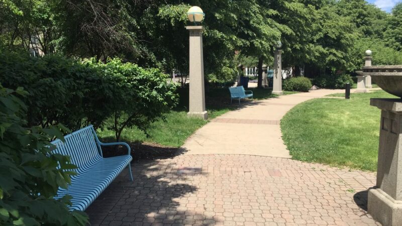 Cotton Tail Park - Chicago, IL