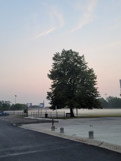 Curie (Marie) Park - Chicago, IL