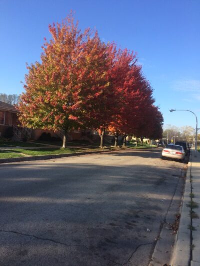 Curie (Marie) Park - Chicago, IL
