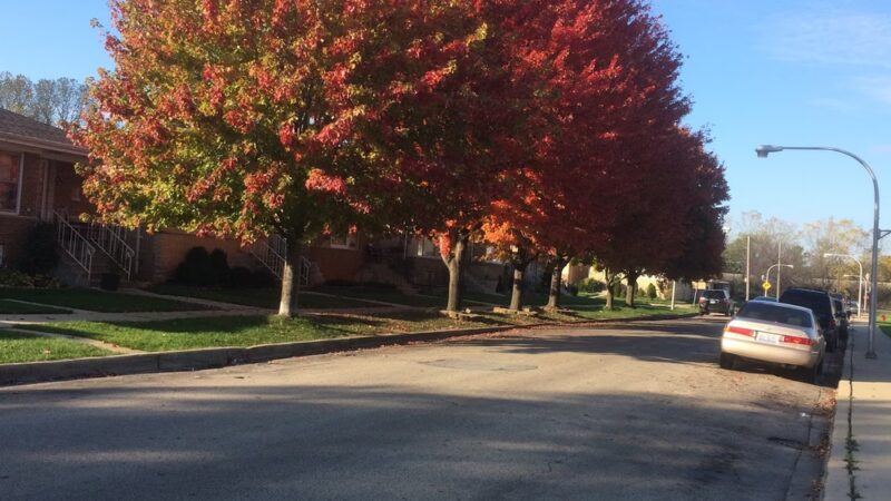 Curie (Marie) Park - Chicago, IL
