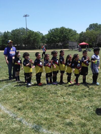 Curie (Marie) Park - Chicago, IL