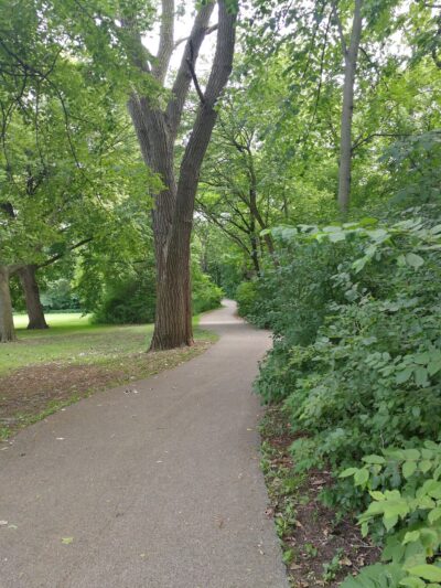 Dan Ryan Woods-Central - Chicago, IL