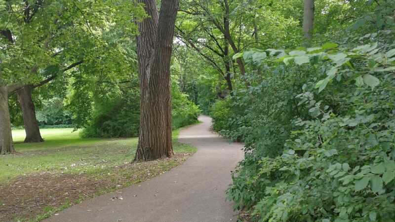 Dan Ryan Woods-Central - Chicago, IL