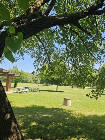 Dan Ryan Woods-North - Chicago, IL