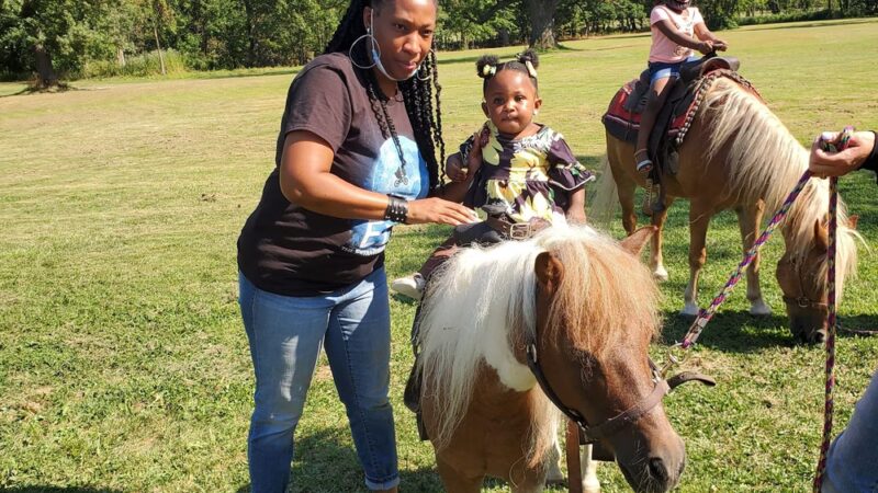Dan Ryan Woods-North - Chicago, IL