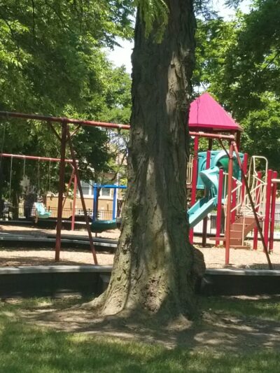 Dawes (Charles G.) Park - Chicago, IL