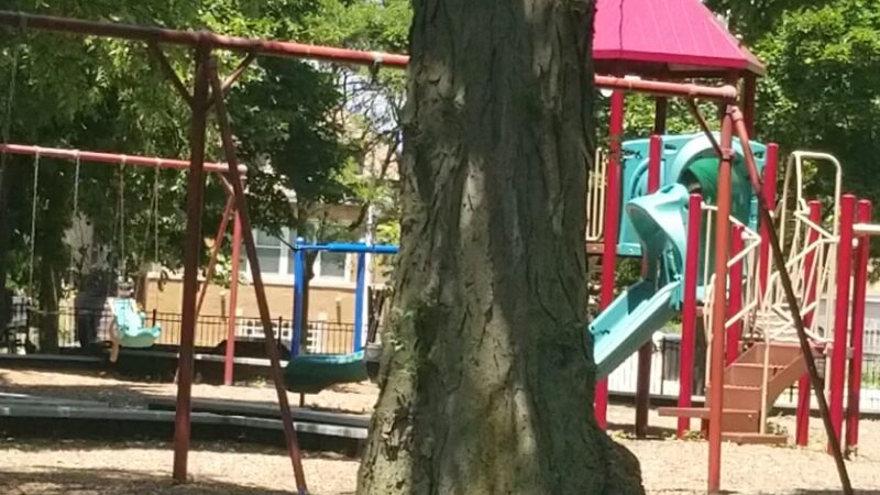 Dawes (Charles G.) Park - Chicago, IL