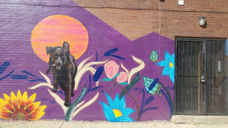 Dog park - Chicago, IL