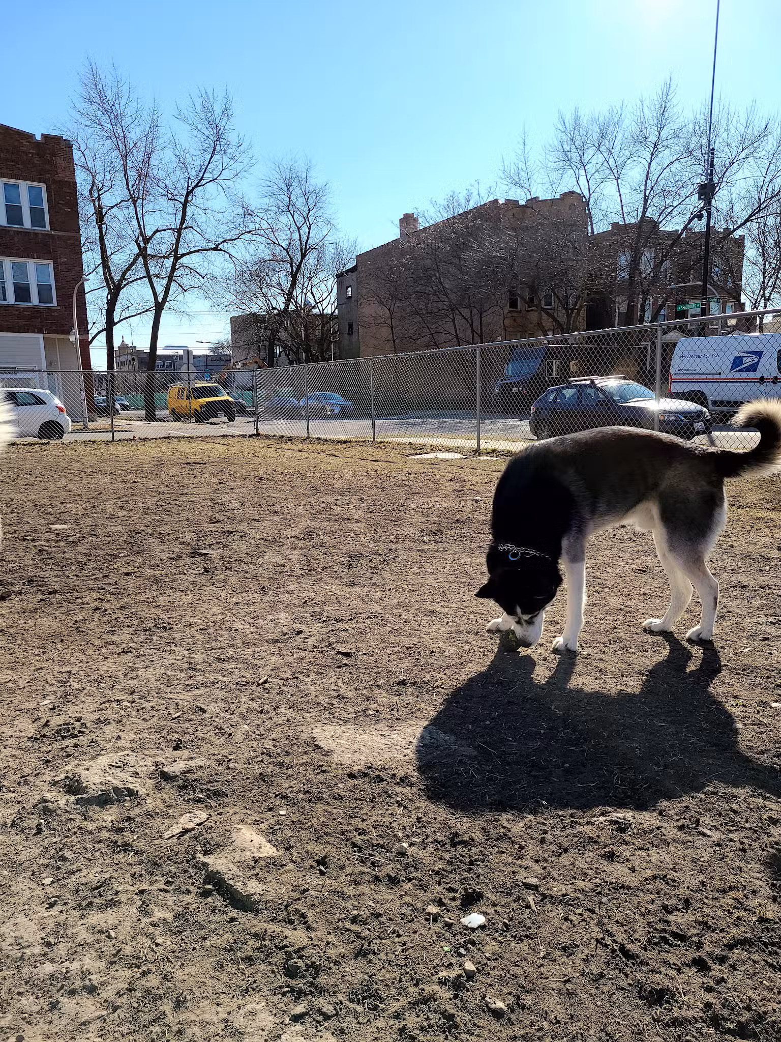 Dog park - Chicago, IL