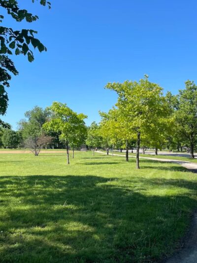 Douglass (Anna and Frederick) Park - Chicago, IL