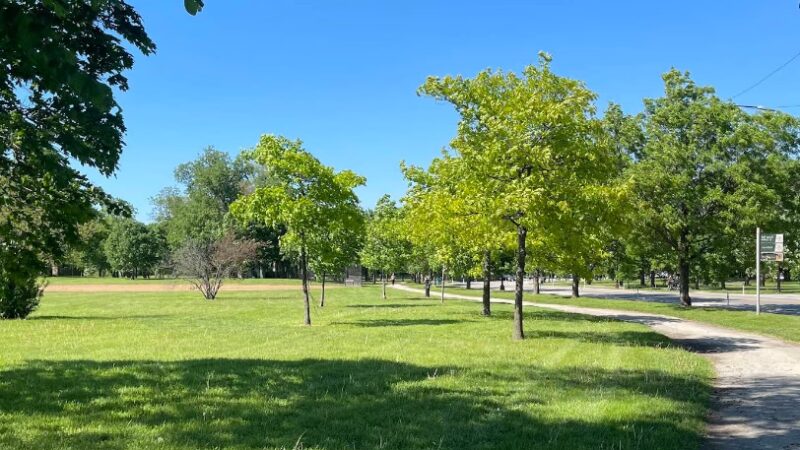 Douglass (Anna and Frederick) Park - Chicago, IL