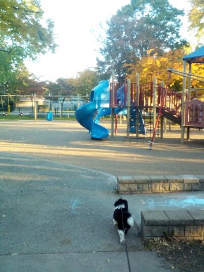 Dunham (Robert) Park - Chicago, IL