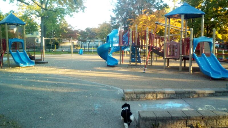 Dunham (Robert) Park - Chicago, IL