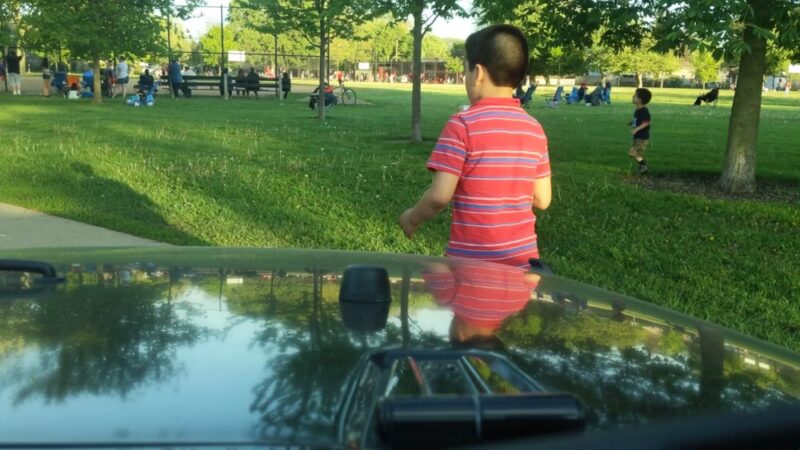 Dunham (Robert) Park - Chicago, IL