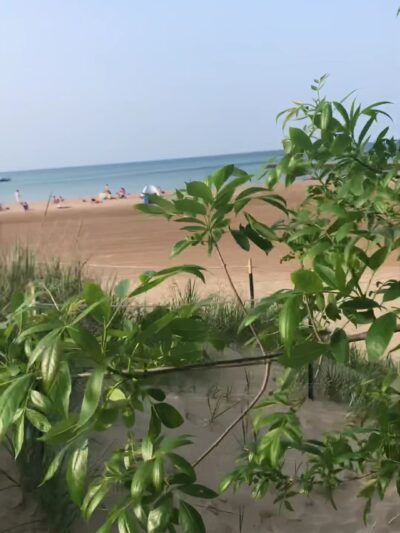 Edgewater Dog Park - Chicago, IL