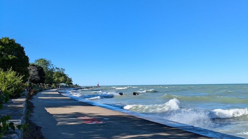 Edgewater Dog Park - Chicago, IL