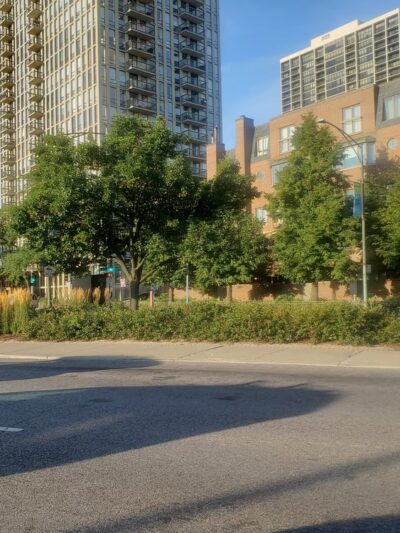 Eugenie Triangle Park - Chicago, IL