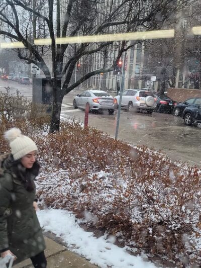 Eugenie Triangle Park - Chicago, IL