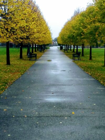 Hanson Park - Chicago, IL