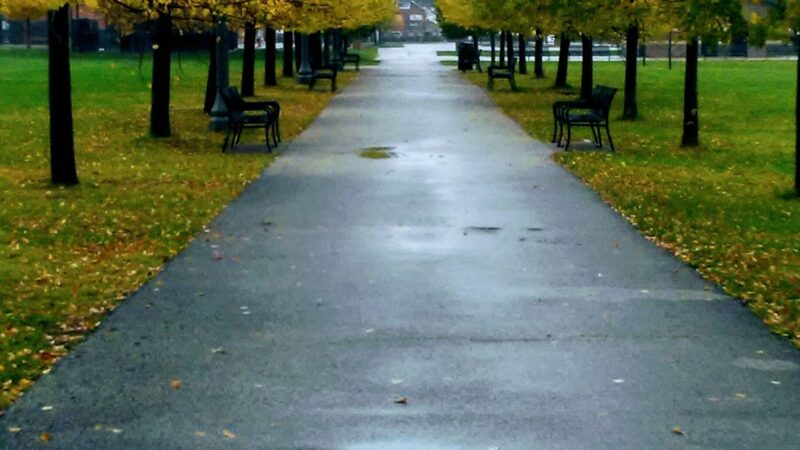 Hanson Park - Chicago, IL