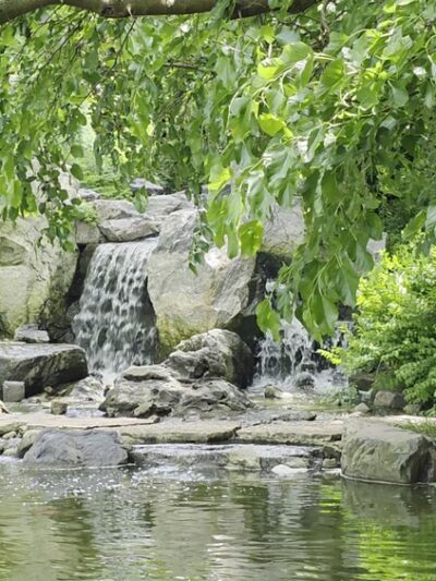 Jackson Park - Chicago, IL