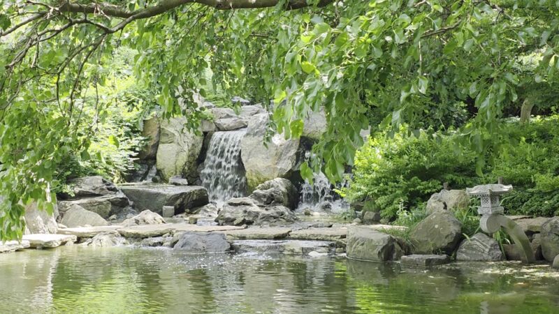 Jackson Park - Chicago, IL