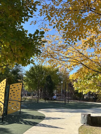 Julia de Burgos Park - Chicago, IL