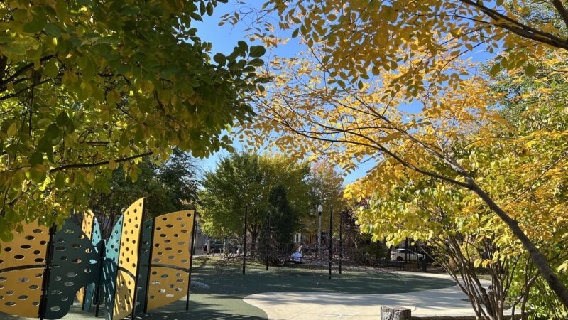 Julia de Burgos Park - Chicago, IL