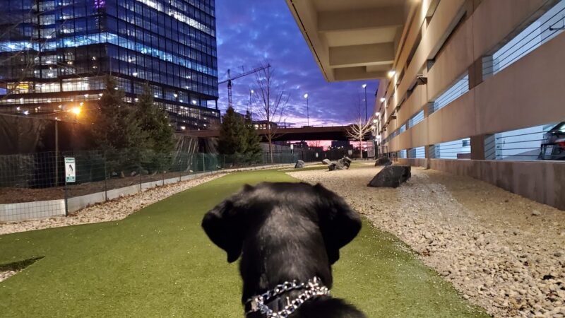 K2 Apartments Dog Park - Chicago, IL