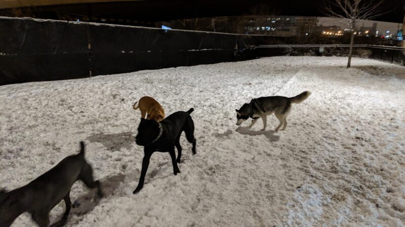 K2 Apartments Dog Park - Chicago, IL