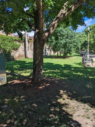 Kelly Park - Chicago, IL