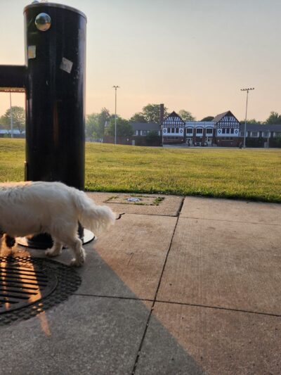 Kosciuszko Park Dog Park - Chicago, IL