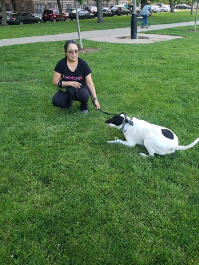Kosciuszko Park Dog Park - Chicago, IL