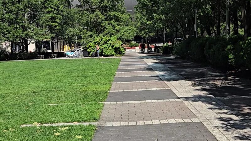 Lakeshore East Park - Chicago, IL