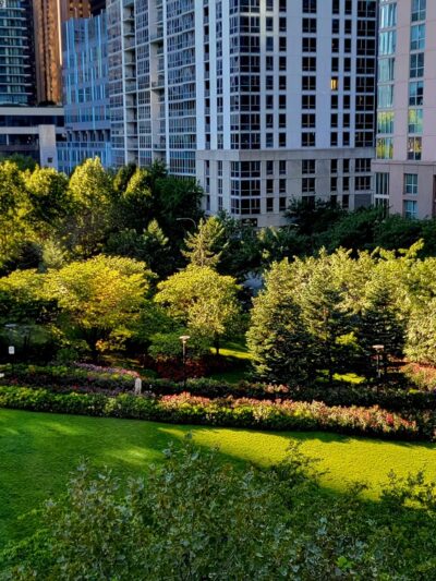 Lakeshore East Park - Chicago, IL