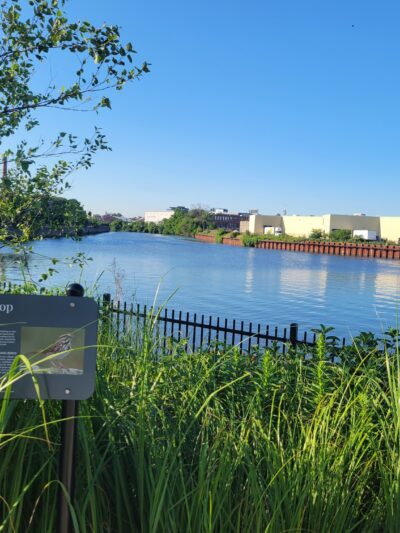 Lathrop Dog Park - Chicago, IL