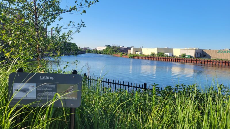 Lathrop Dog Park - Chicago, IL