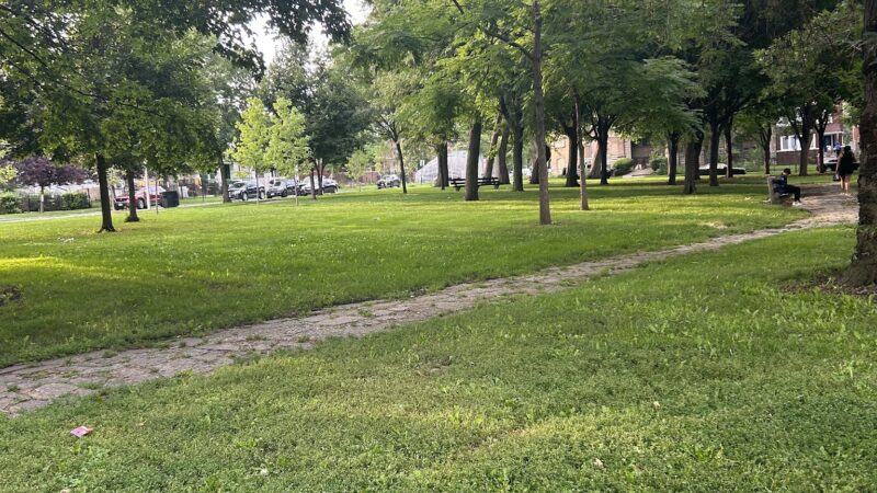 Levin (John) Park - Chicago, IL