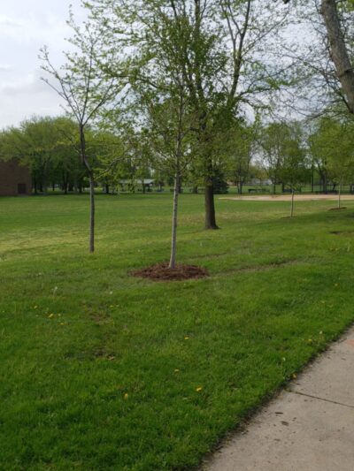 Mann (James) Park - Chicago, IL