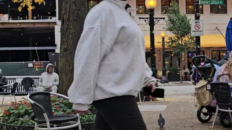 Mariano (Louis) Park - Chicago, IL