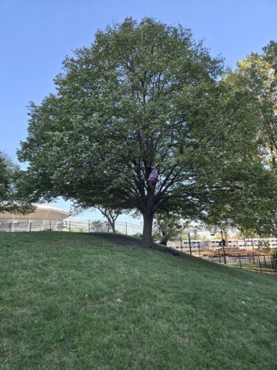 Mark Twain Park - Chicago, IL