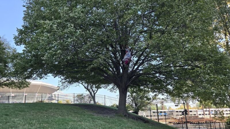 Mark Twain Park - Chicago, IL